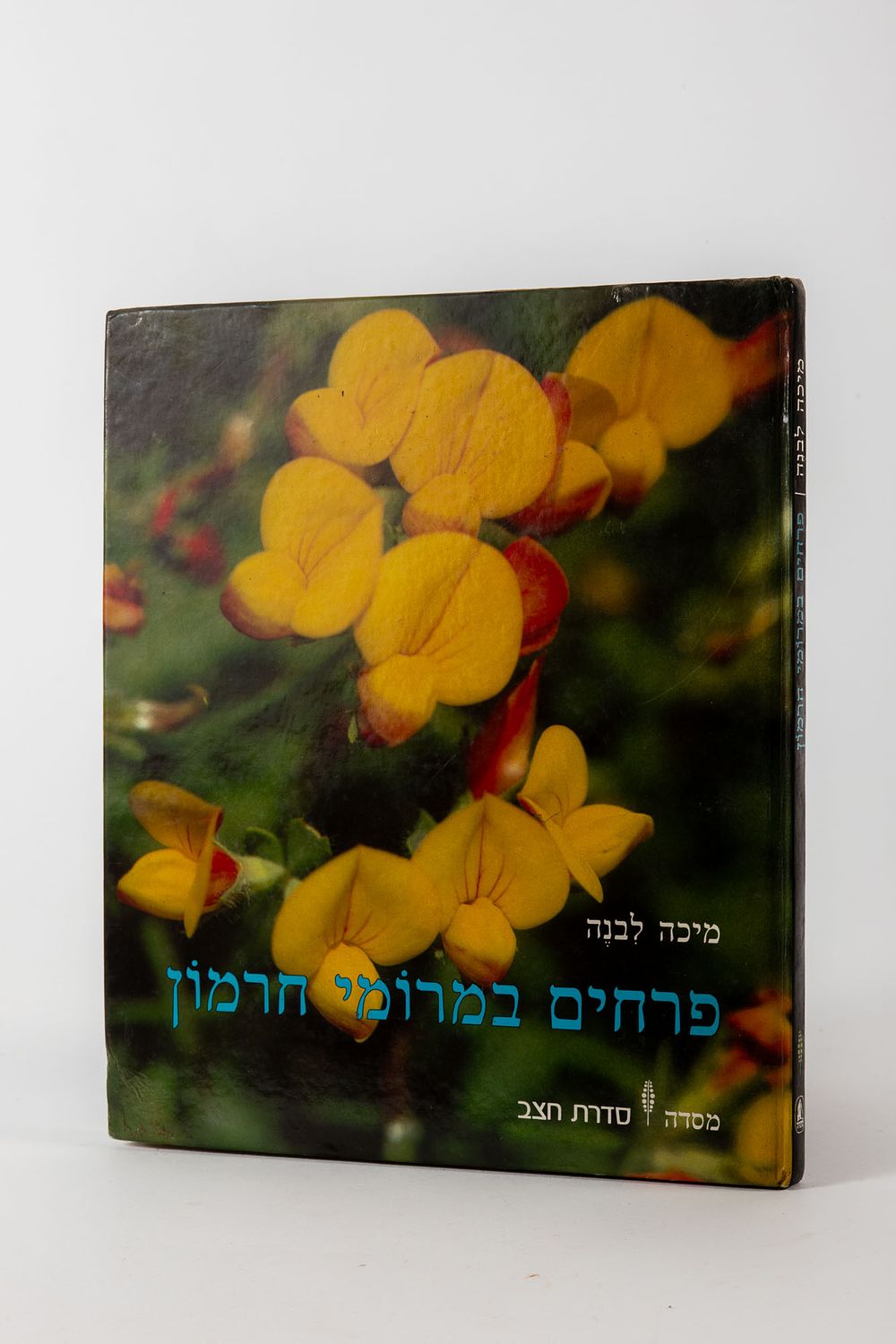 פרחים במרומי חרמון
