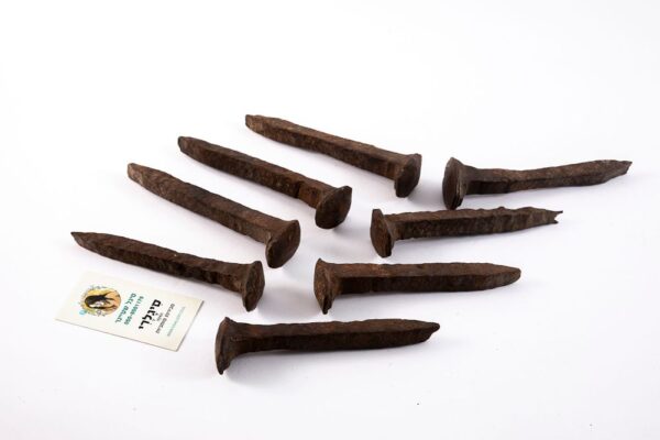 8 מסמרים עתיקים של אדני רכבת Railroad spikes
