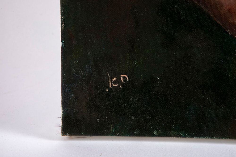 אפרוחים – תמונה 2